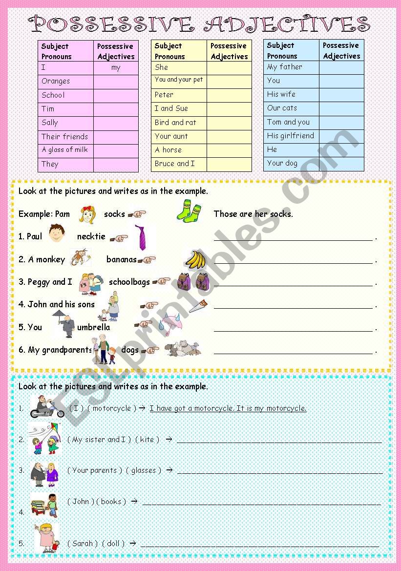 Possessive Adjectives worksheet