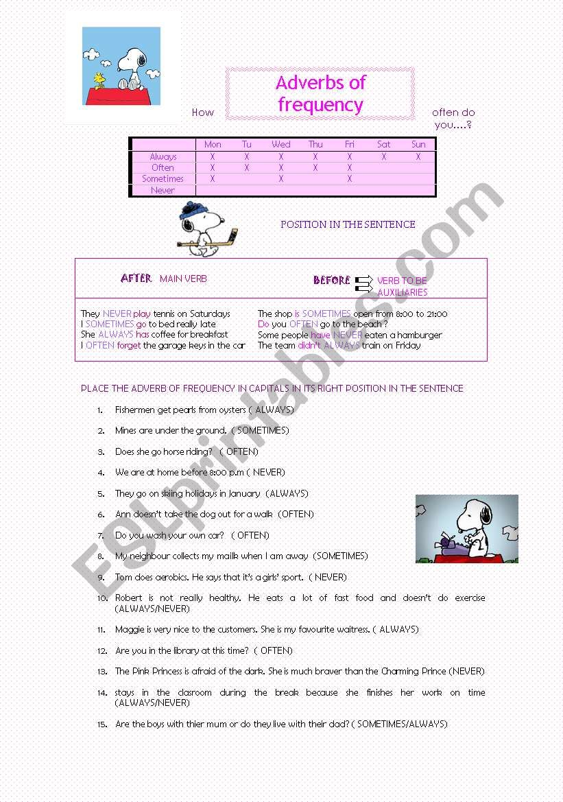 adverbs of frequency  worksheet