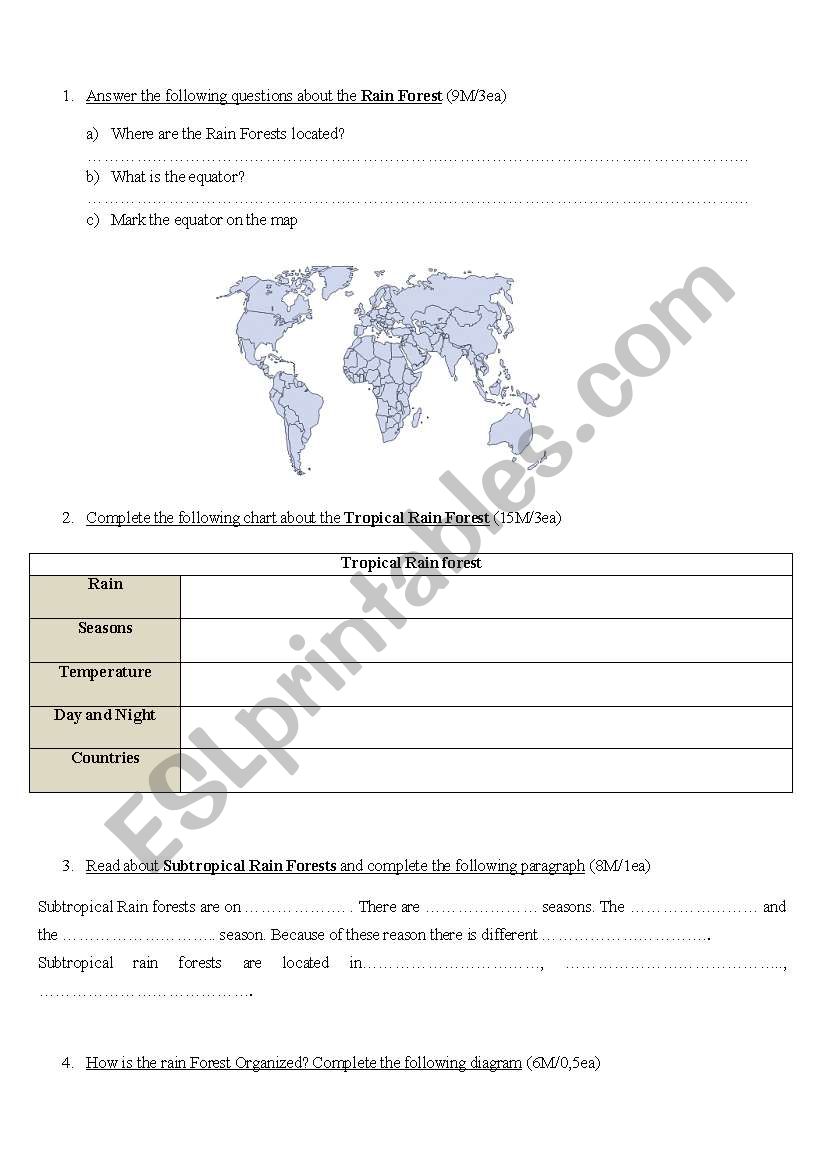 the rainforest worksheet