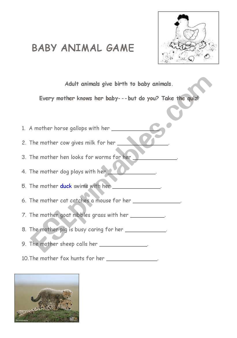 Naming baby animals worksheet