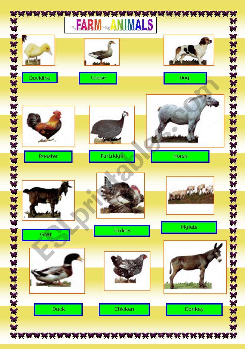 Farm animals worksheet