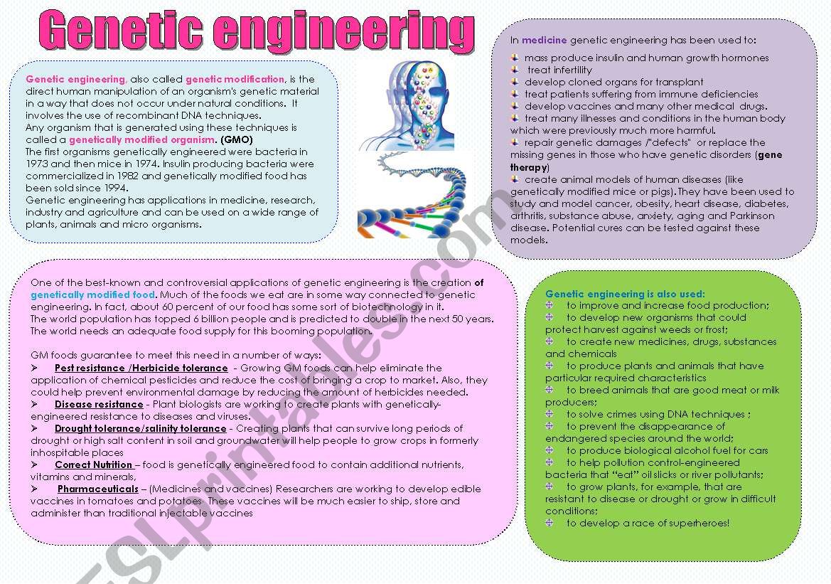 Genetic engineering worksheet