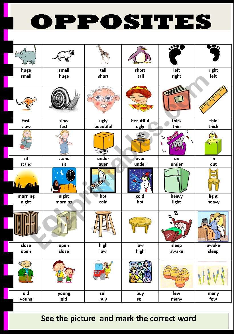 Opposities worksheet