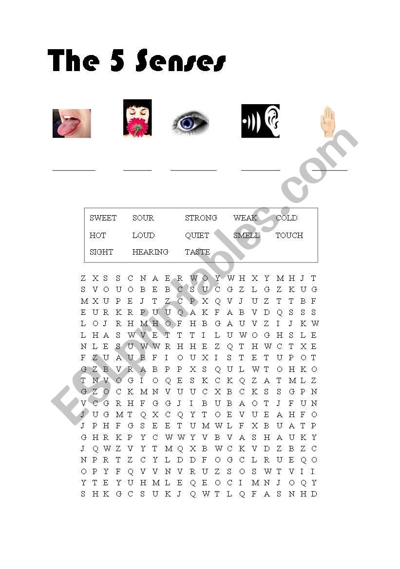 5 Senses Word Search worksheet