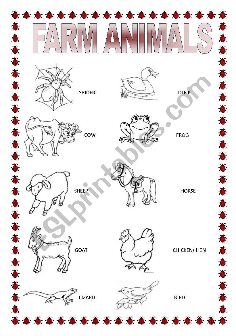farm animals pictionary worksheet