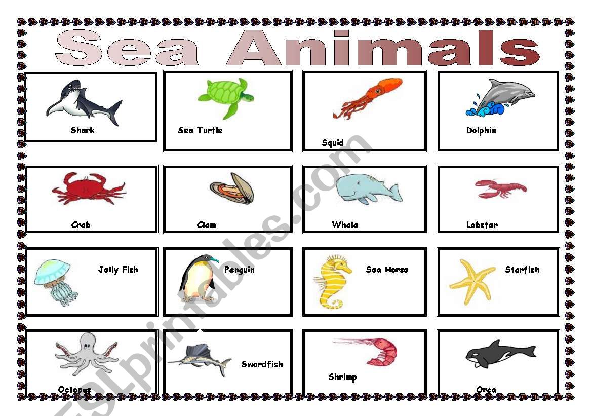sea animal pictionary worksheet