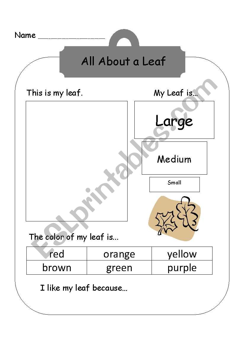 All About a Leaf worksheet