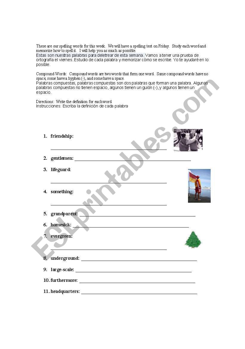 Picture Vocabulary worksheet
