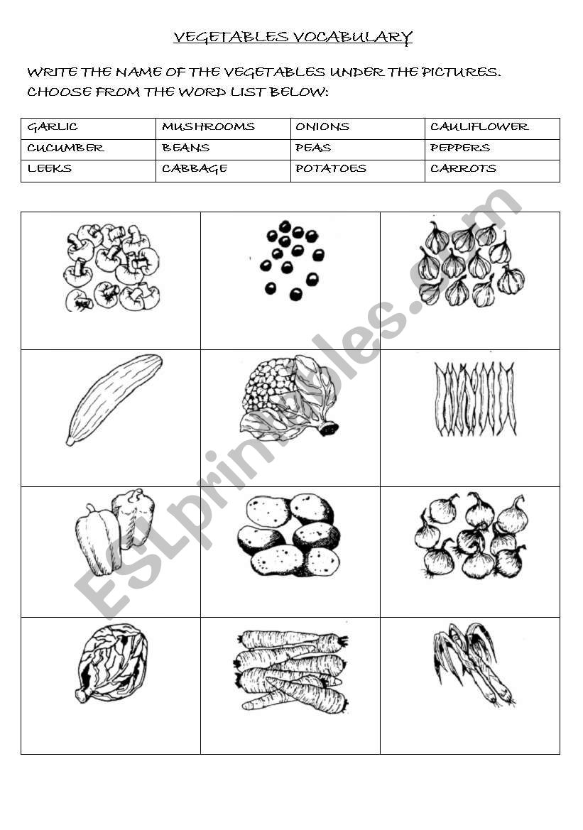 VEGETABLES : MATCHING EXERCISE