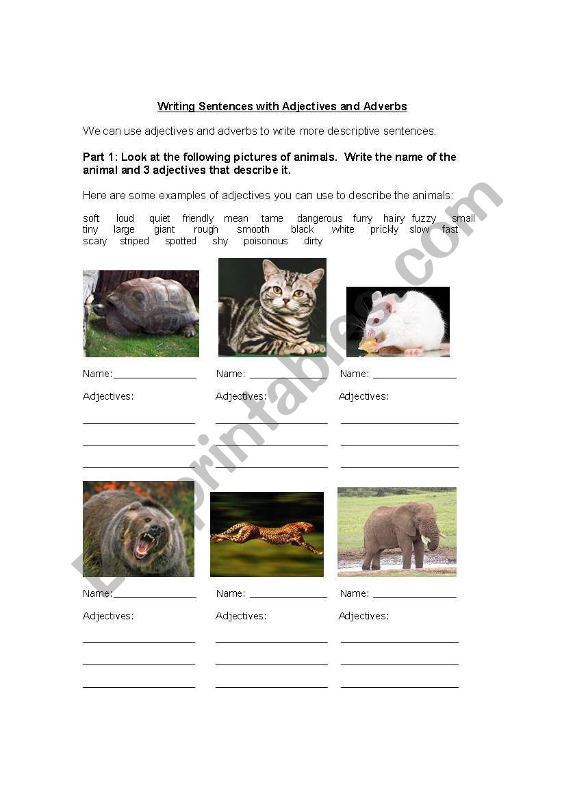 Animals and Adjectives! worksheet