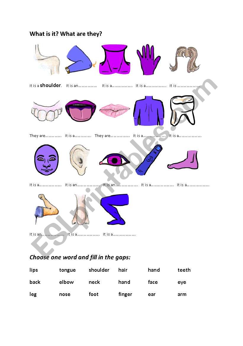 Parts of the body worksheet