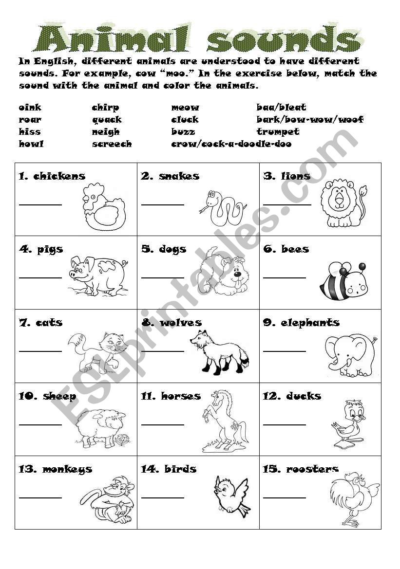 Animal sounds worksheet