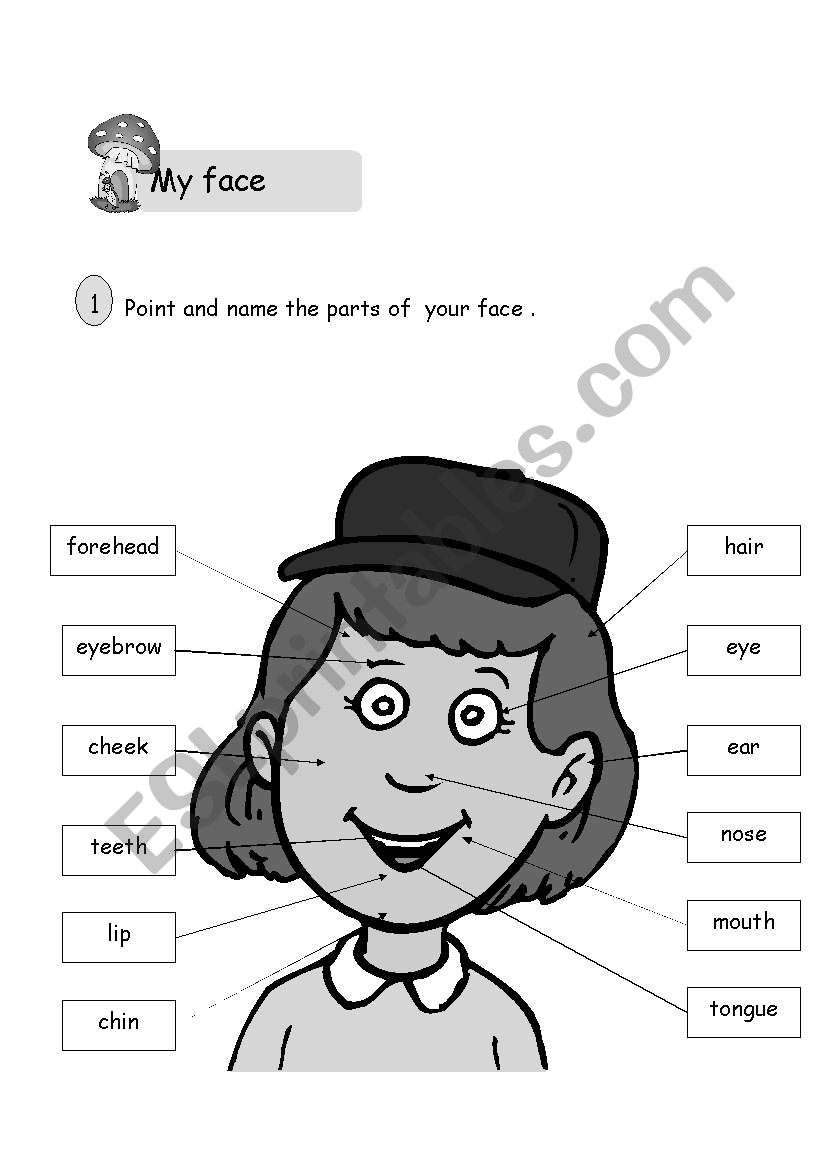 my face worksheet