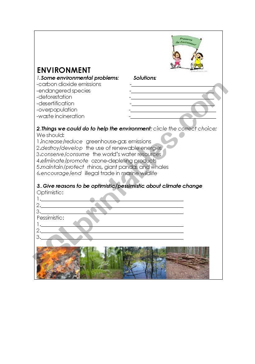 environment worksheet