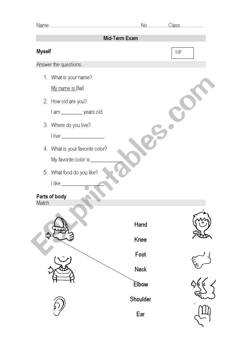 Grammar and Vocabulary Test worksheet