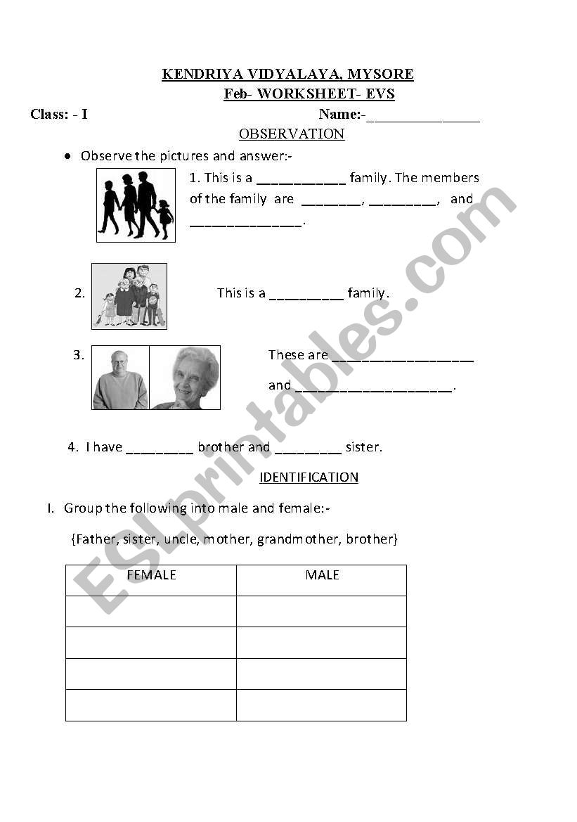 worksheet on family worksheet