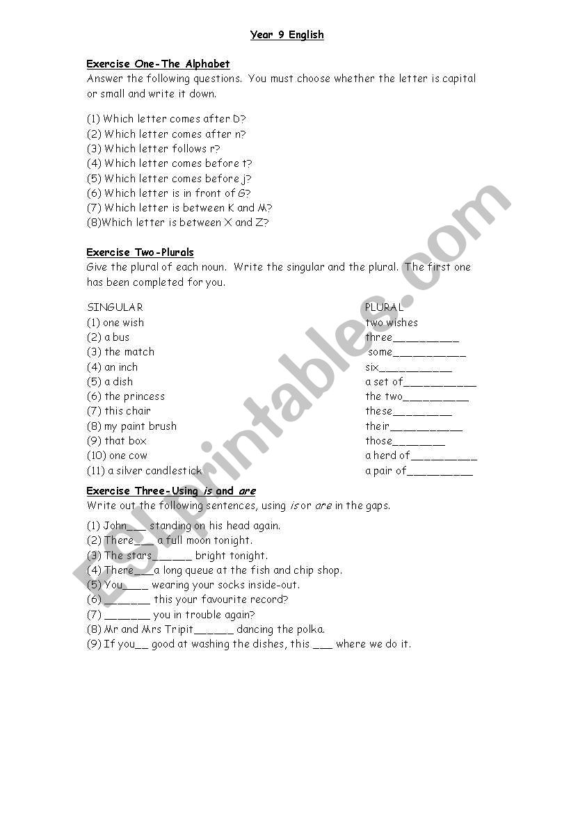 Alphabet and Plurals worksheet