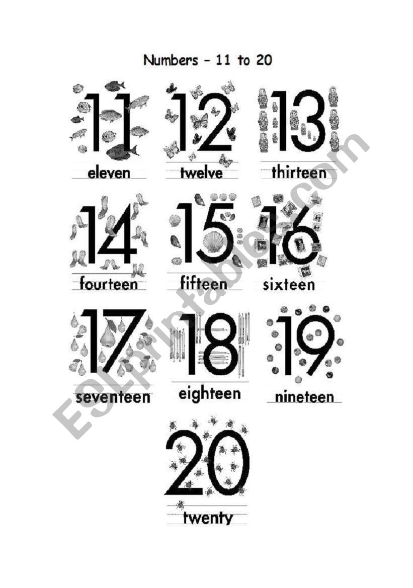 Numbers 11-20 worksheet