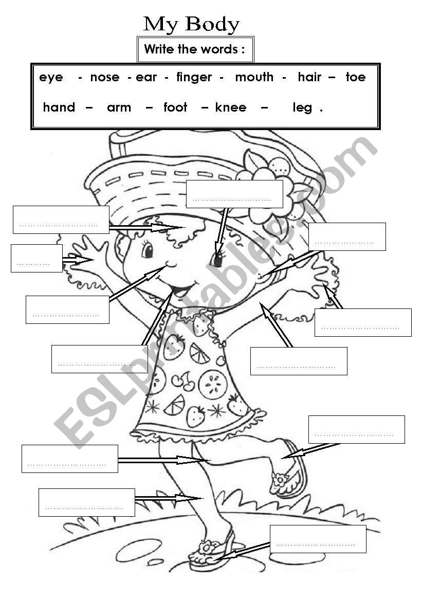 my-body-english-vocabulary-worksheet-english-treasure-trove