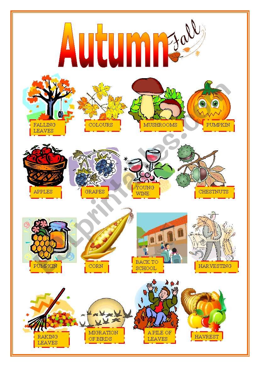 AUTUMN worksheet