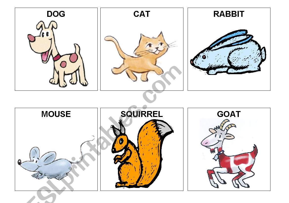 animal flashcards worksheet