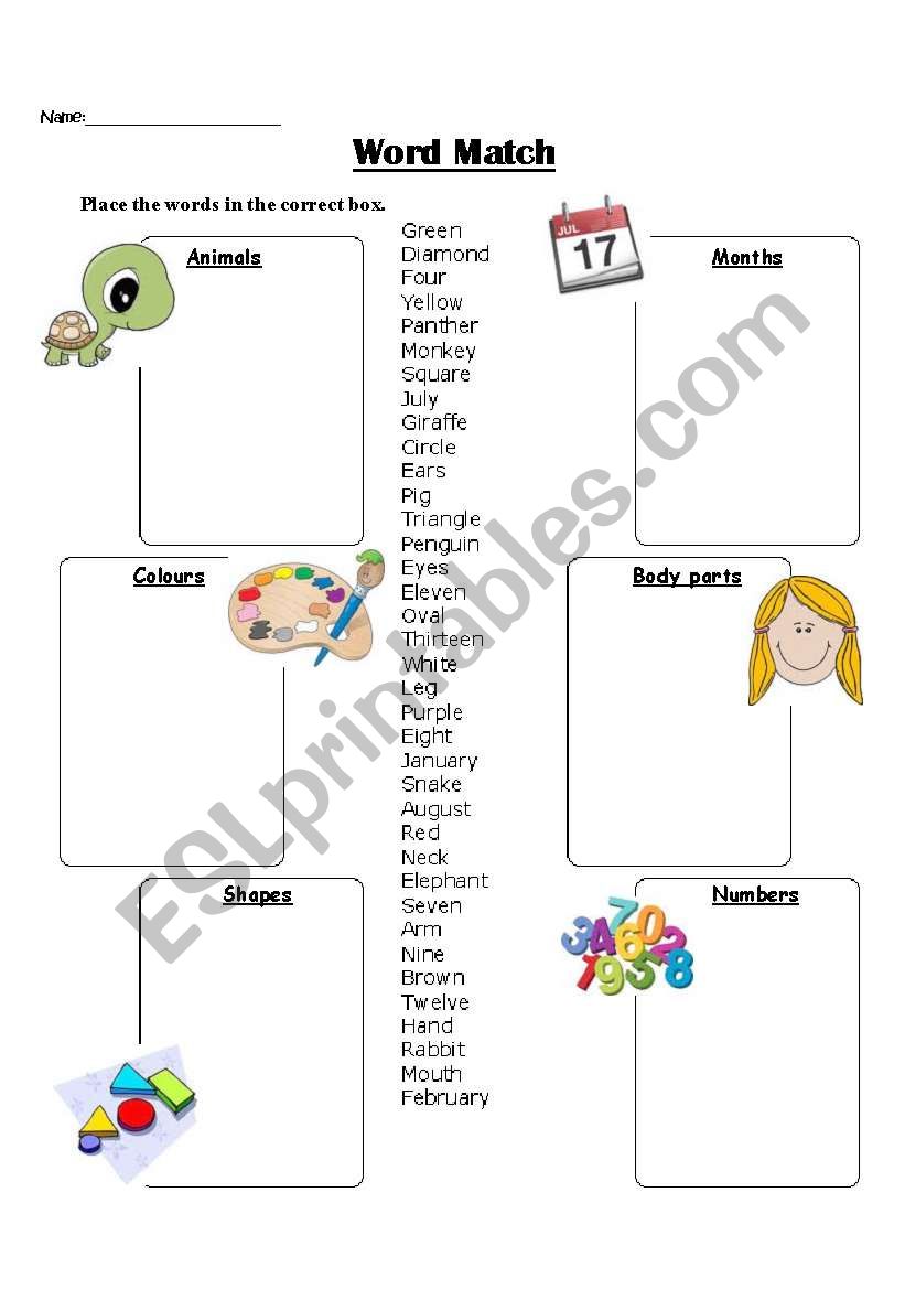 Vocabulary word match worksheet