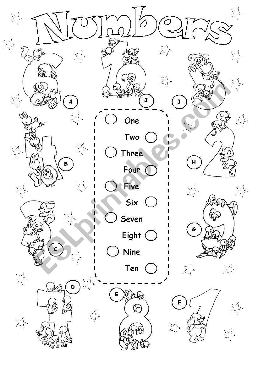 Numbers worksheet