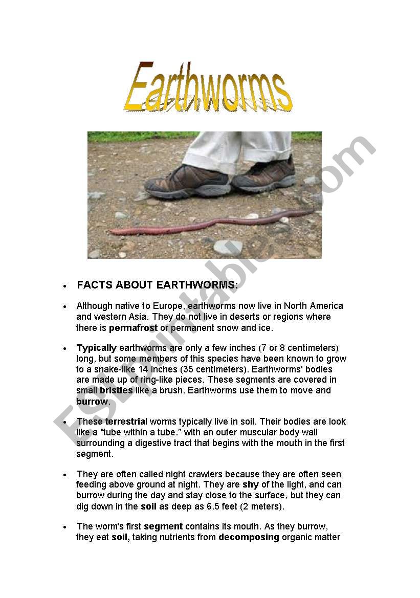 Earthworms worksheet