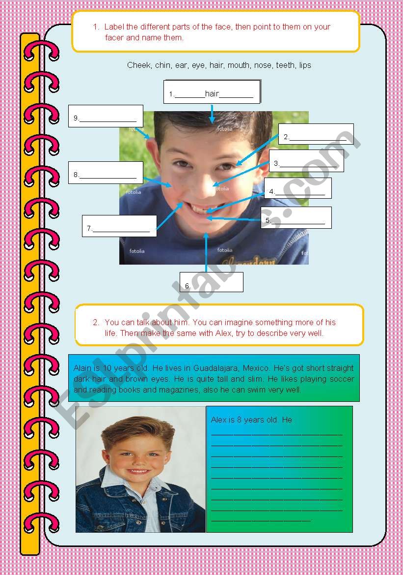 describing people and parts of the face