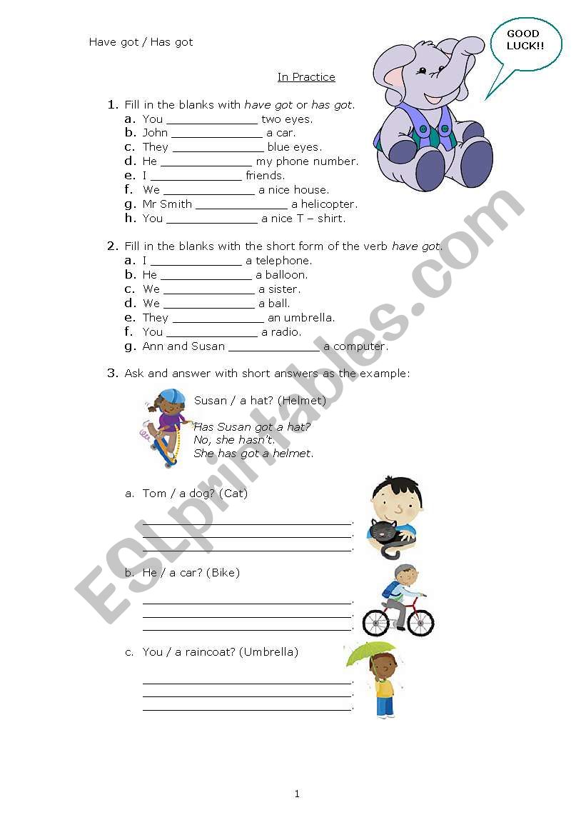 have got and has got worksheet