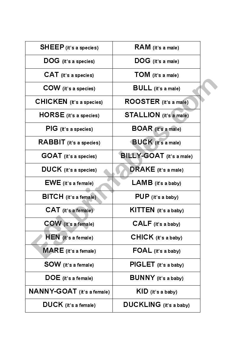 ANIMAL BINGO - LET THE ANIMALS BE!