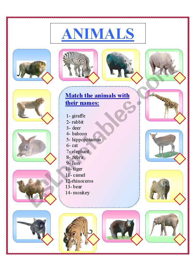 Animals worksheet