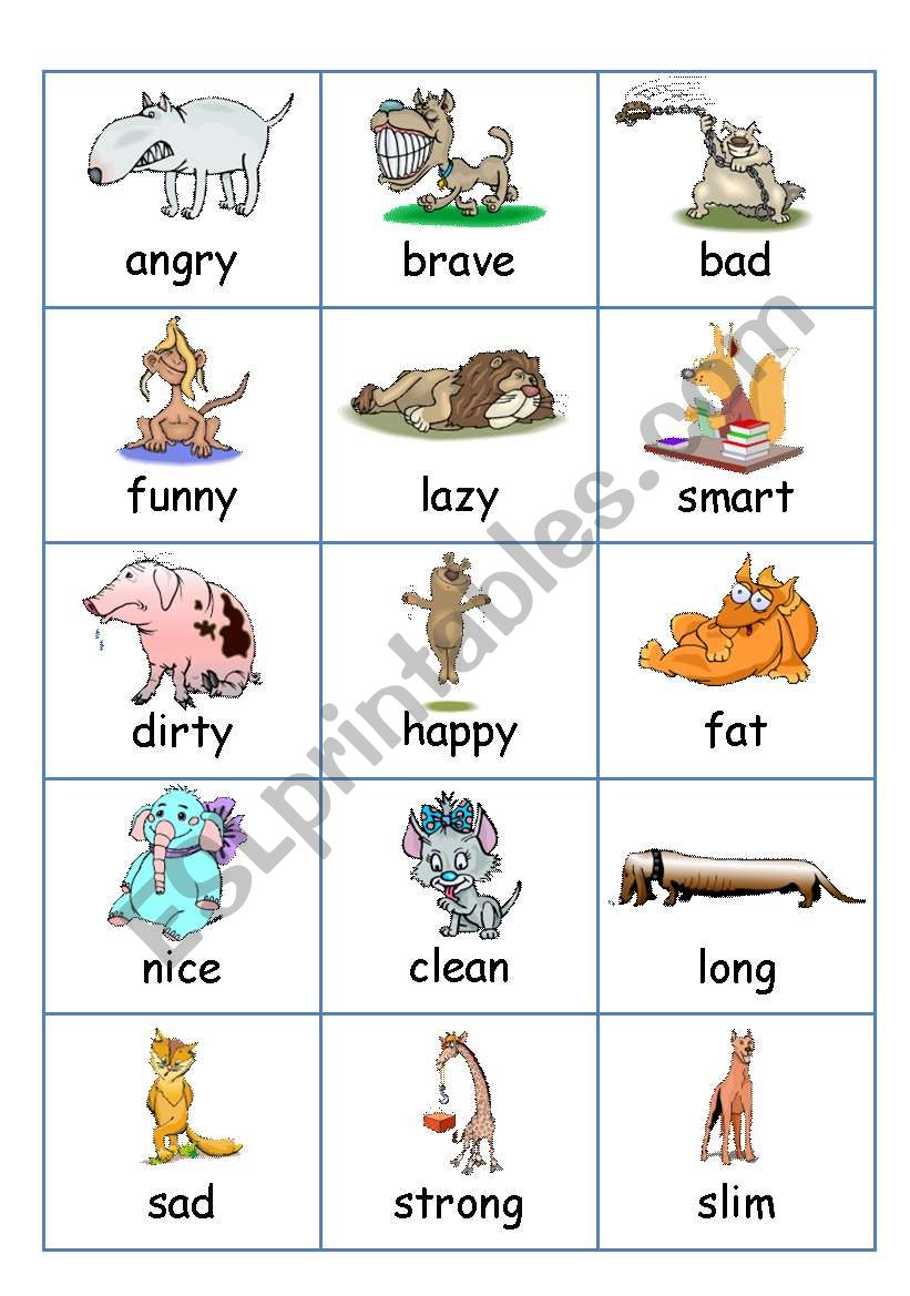 Flashcards - Adjectives worksheet