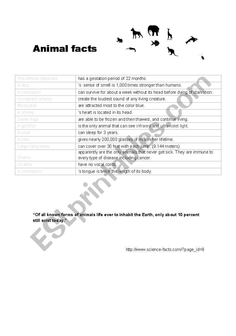 Animal Facts worksheet