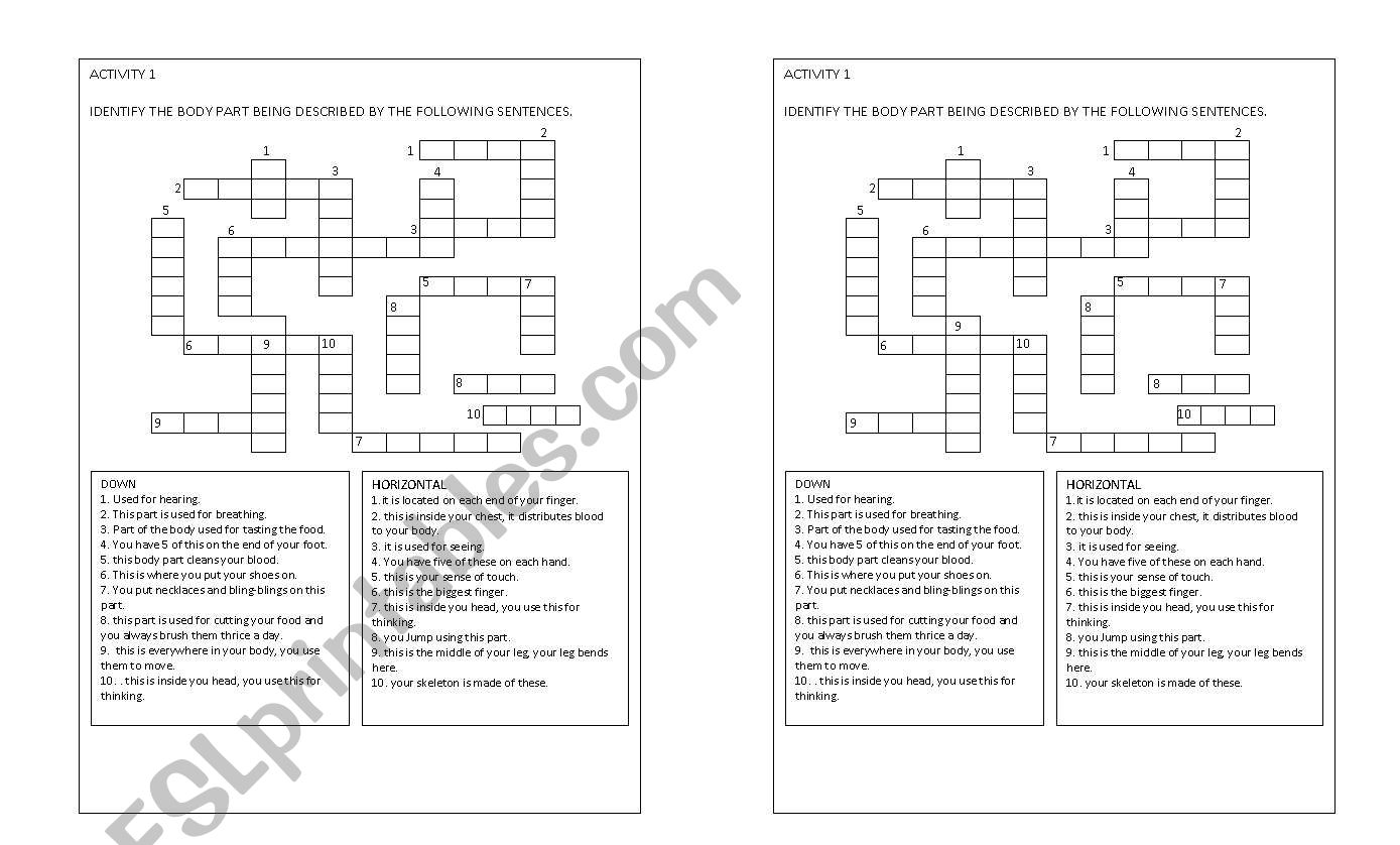 body parts and functions worksheet