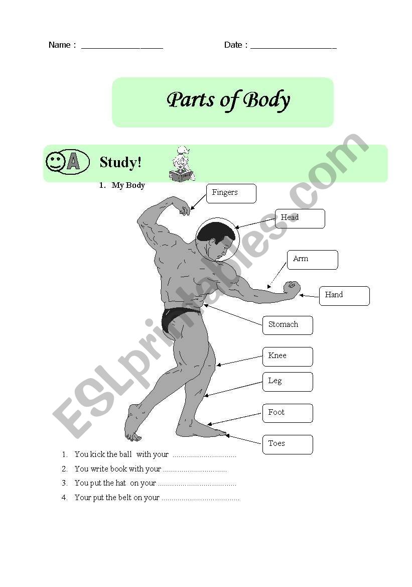 Part of Body worksheet