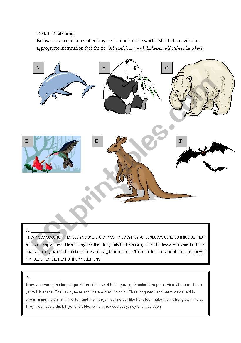 endangered animals- reading exercise