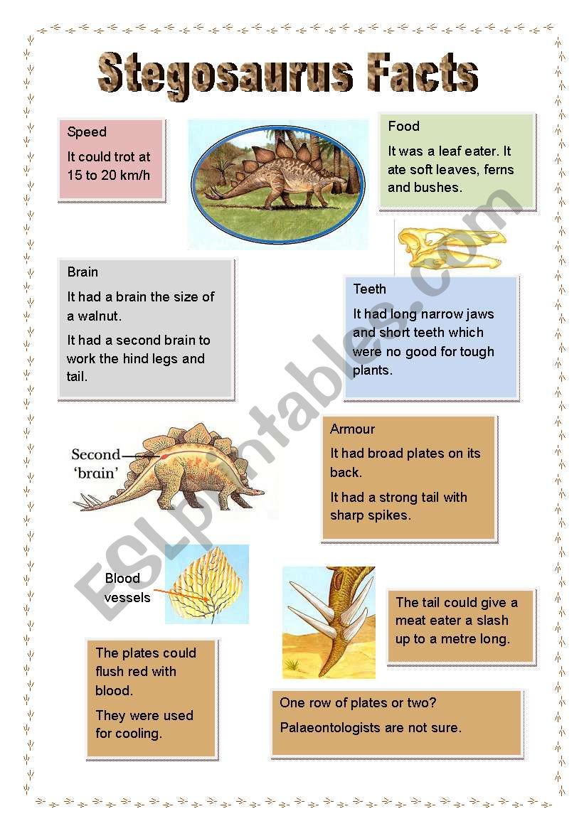 Stegosaurus Facts worksheet