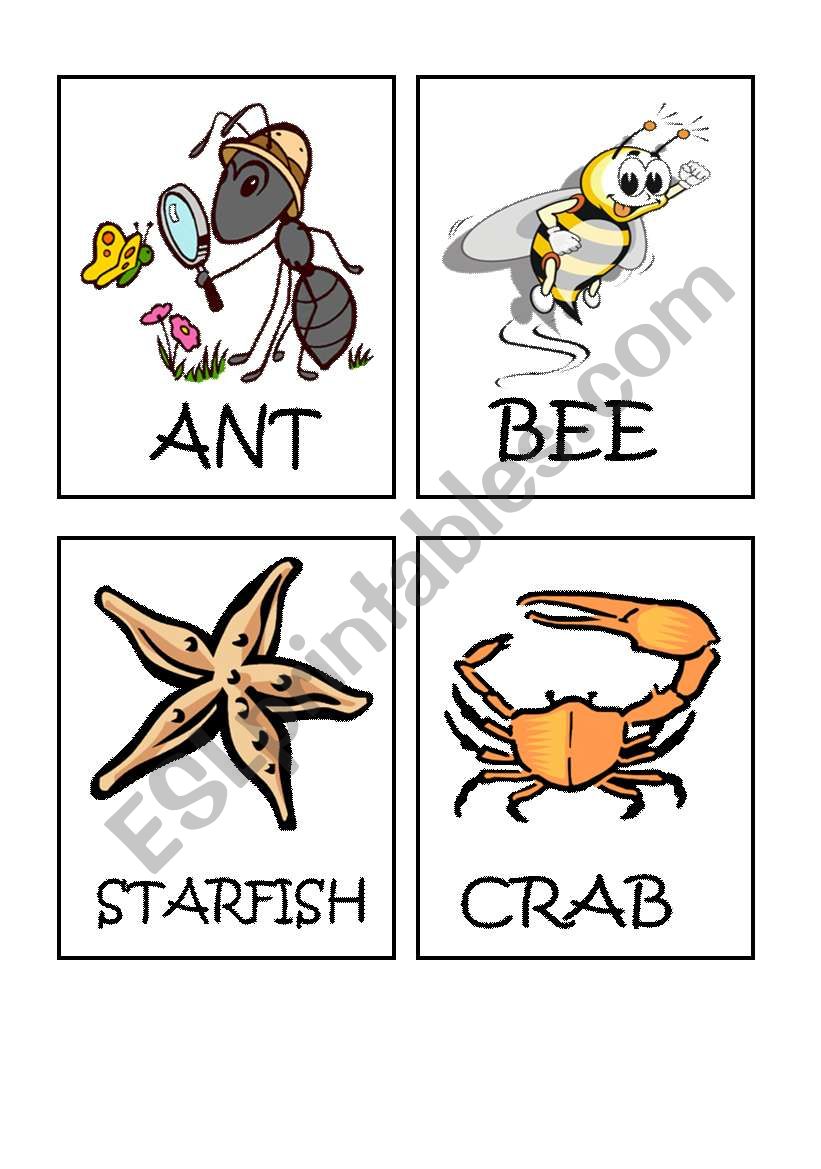 Animals flash-cards part 4 worksheet
