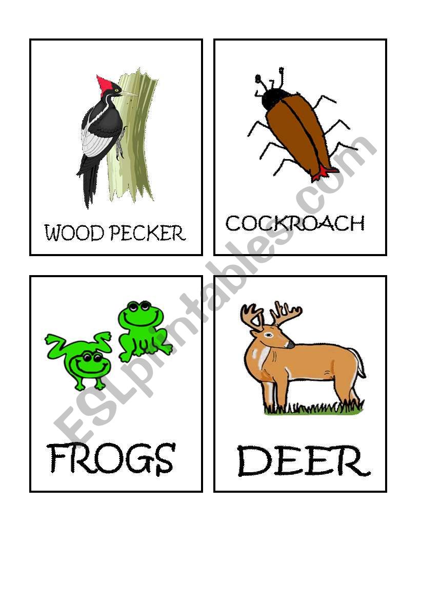 Animals flash-cards part 6 worksheet