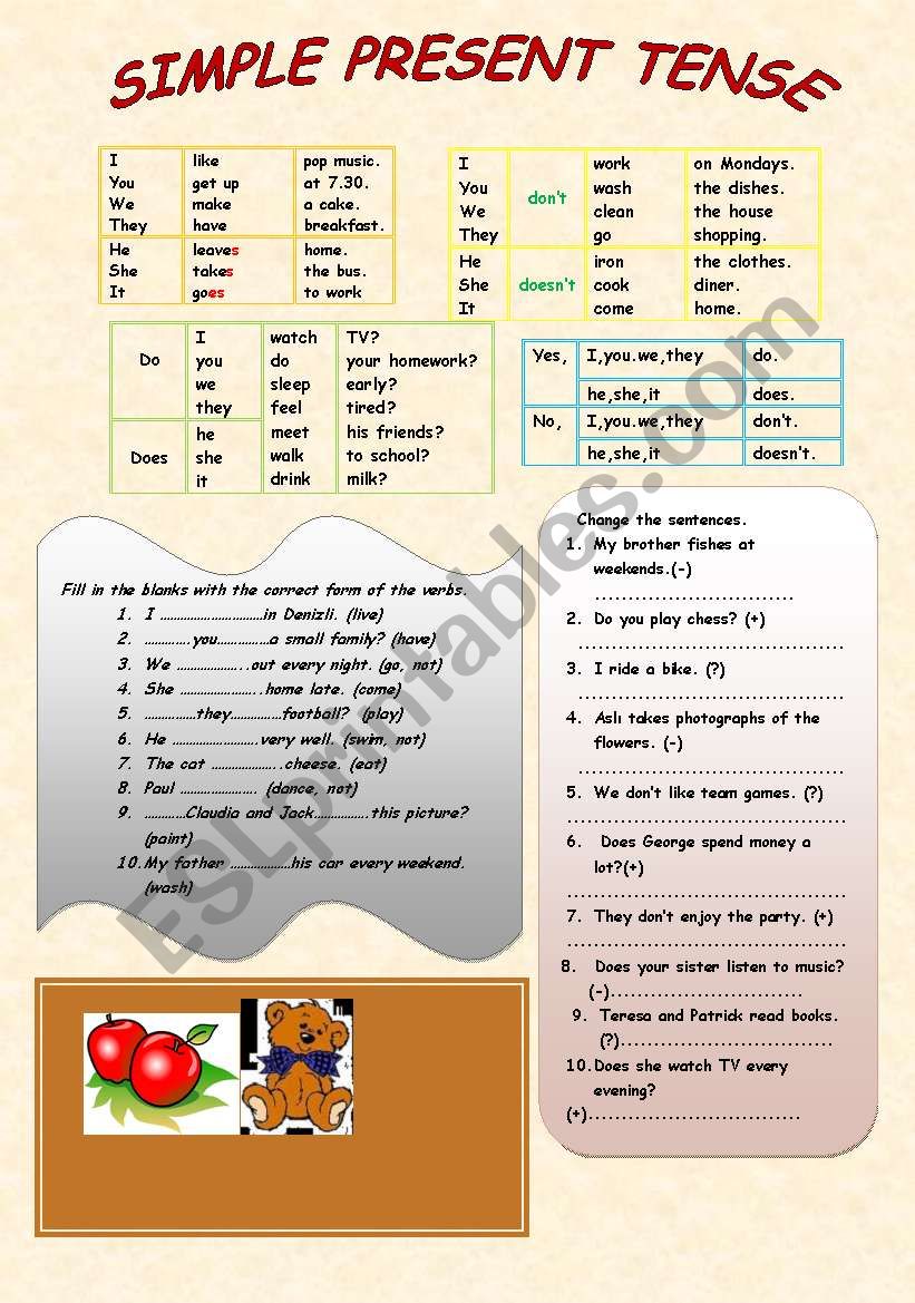 simple present tense worksheet