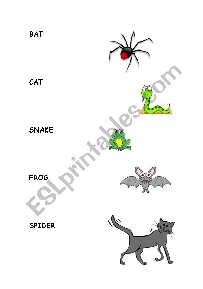 animals worksheet