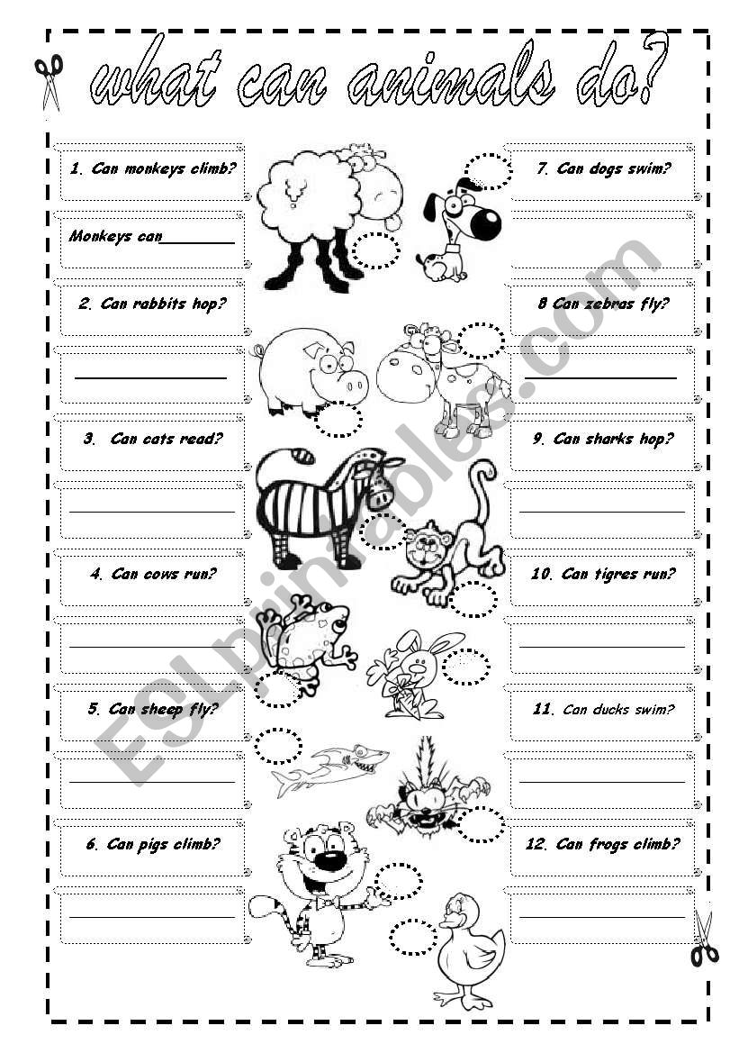 CAN - What can animals do? worksheet
