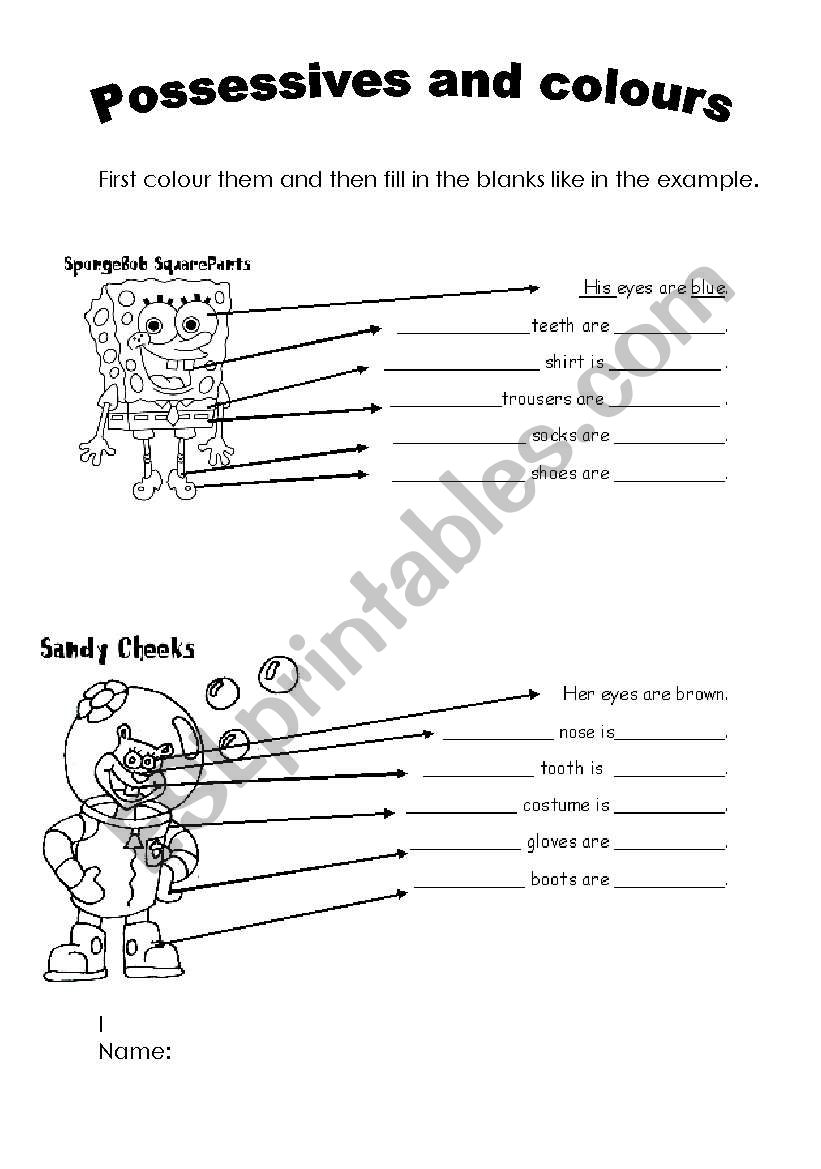 possessives and colours worksheet