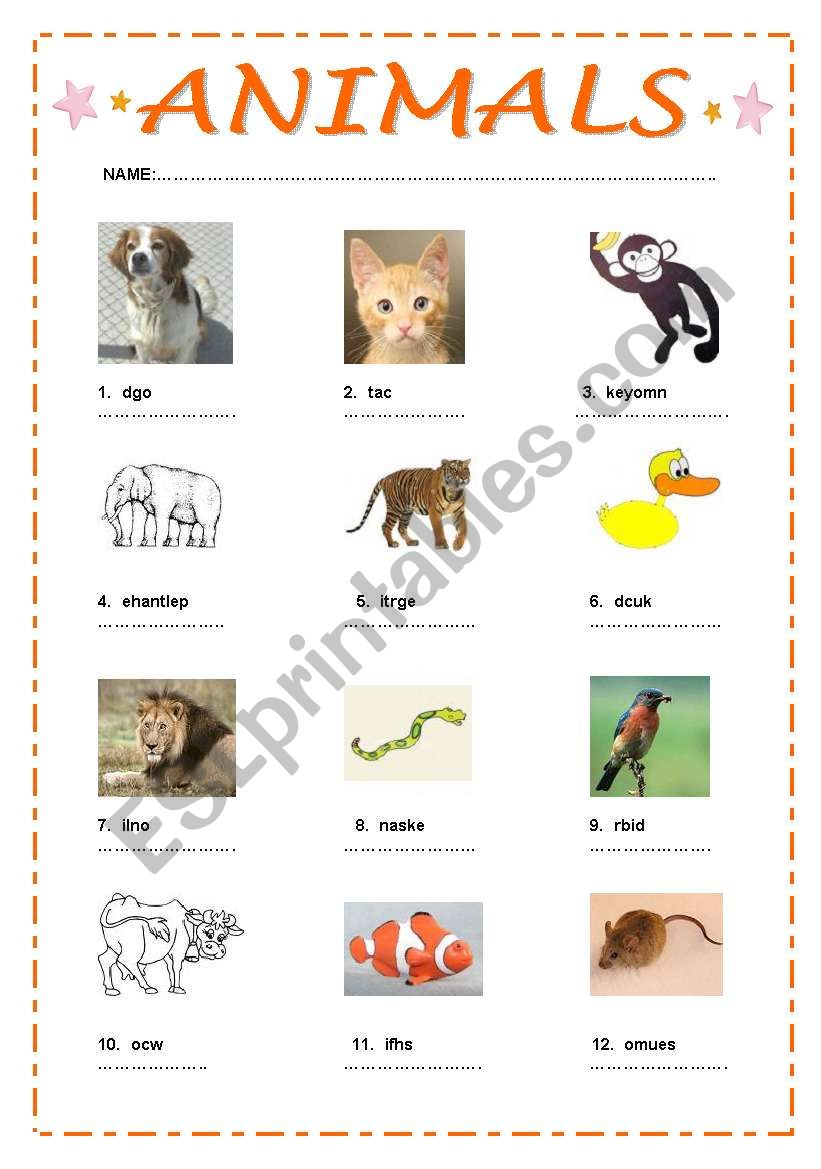 ANIMALS worksheet