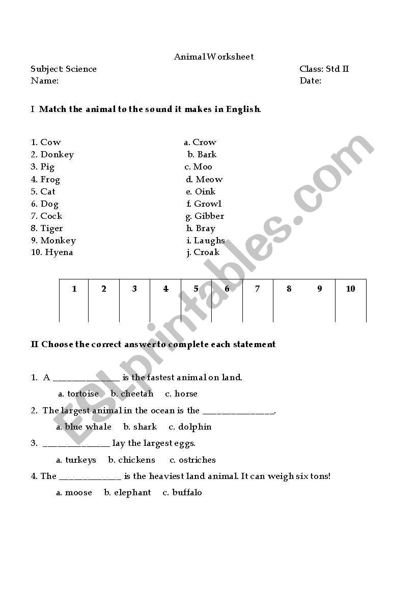 Animal worksheet