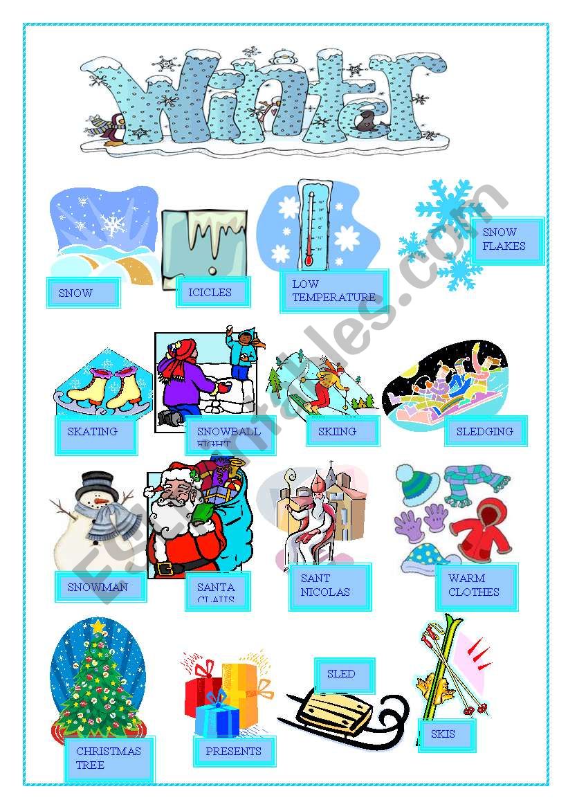 WINTER PICTIONARY worksheet