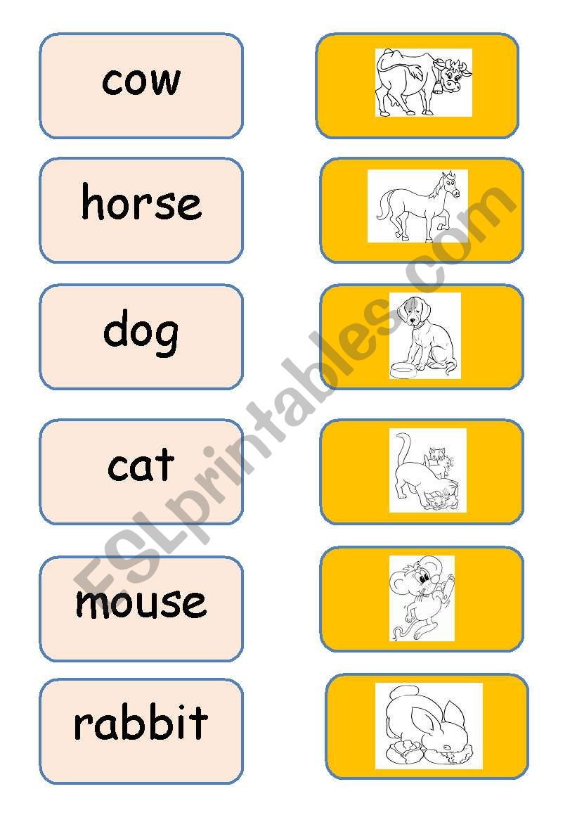 My first animals worksheet