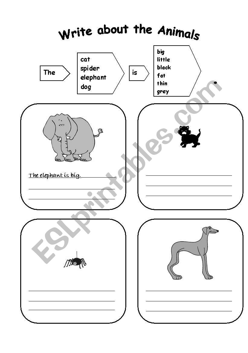 first steps in writing (animals)