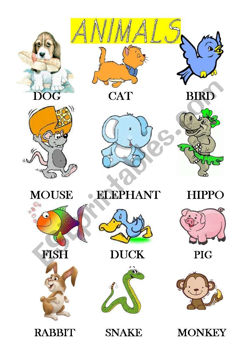 Animals worksheet